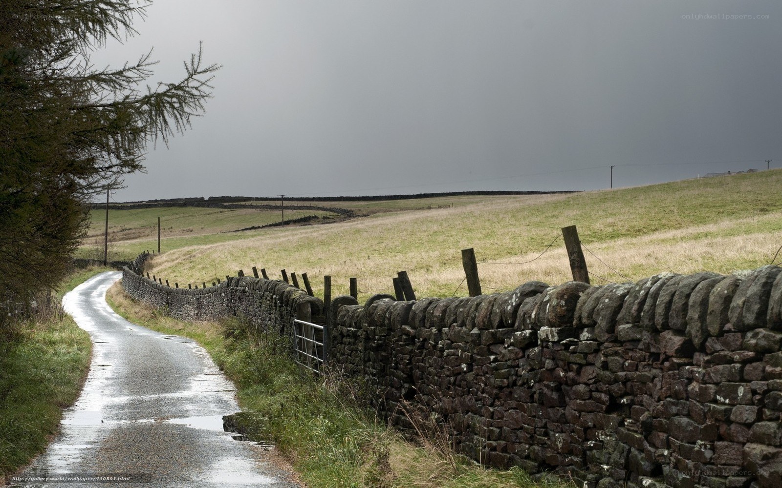 Wet road with stone wall