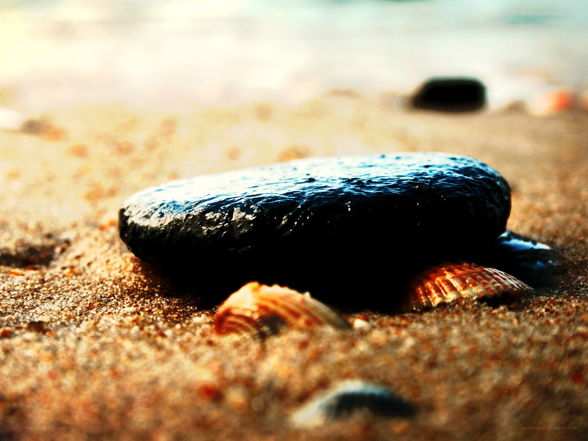 wet rock on sandy beach