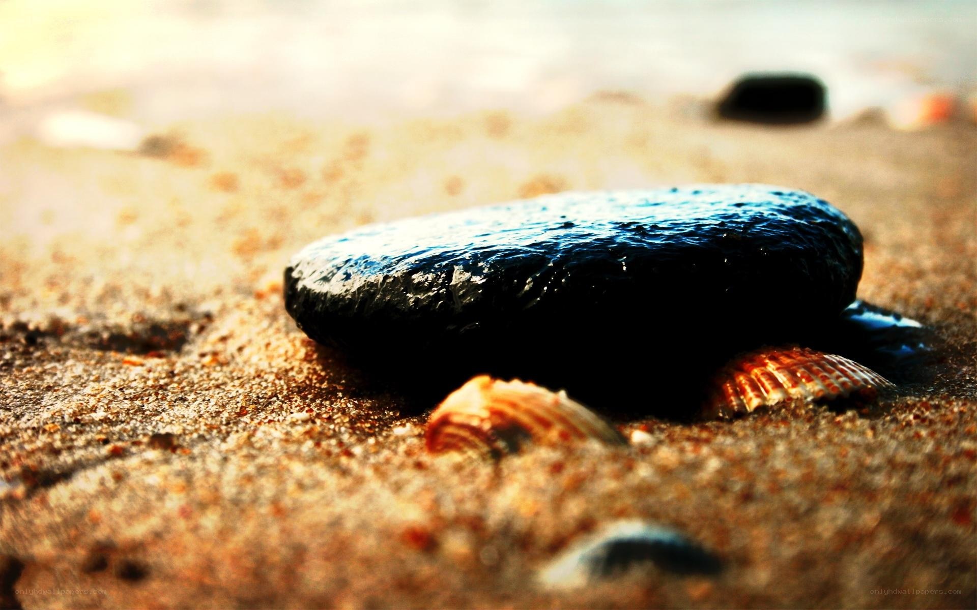 wet rock on sandy beach
