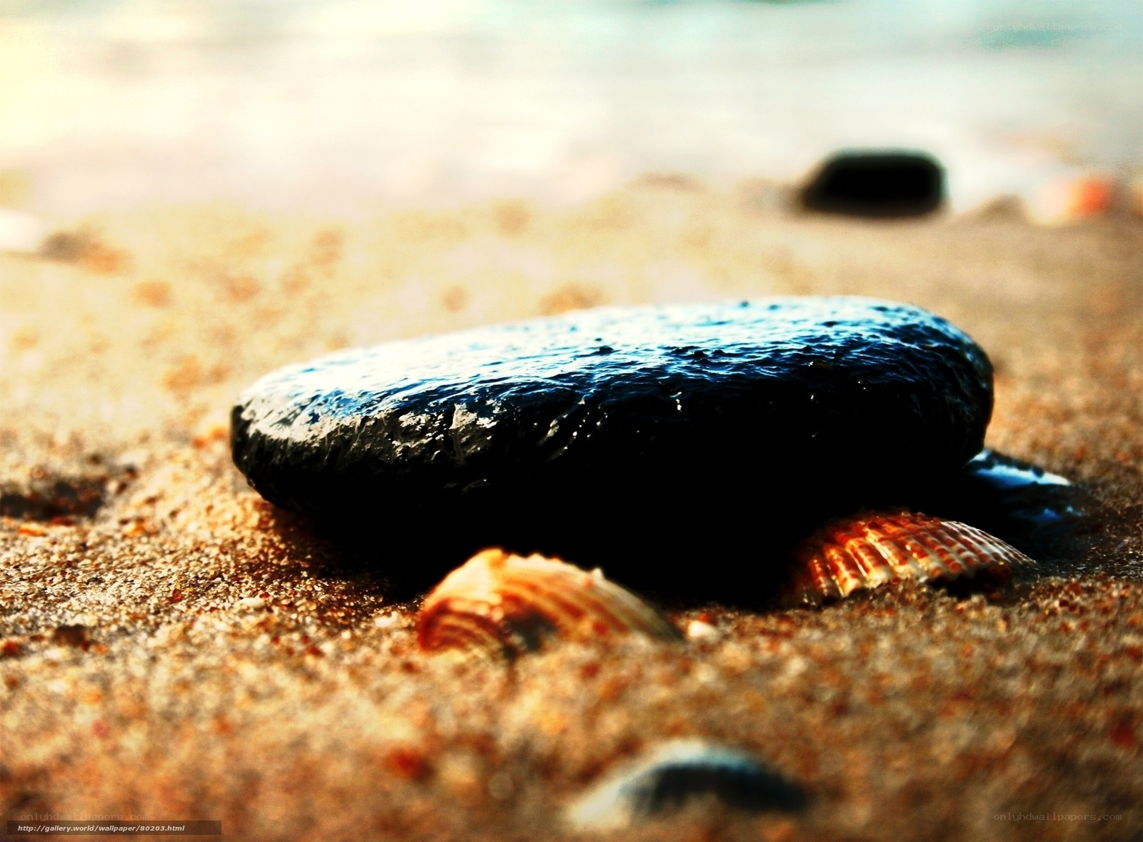 wet rock on sandy beach
