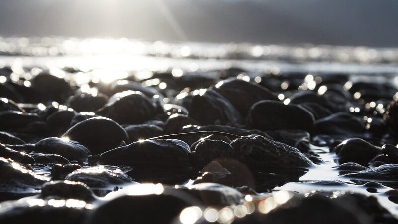 Wet Rocks on Beach — Black