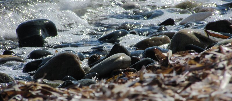 Wet Rocks on Shore