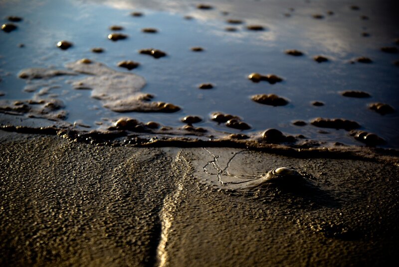 Wet sand and sea foam