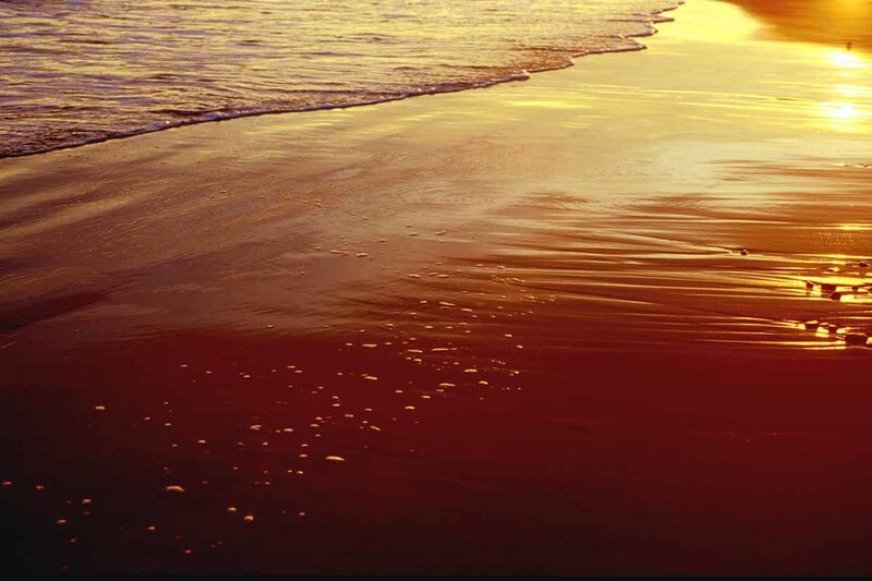 Wet Sand at Sunset