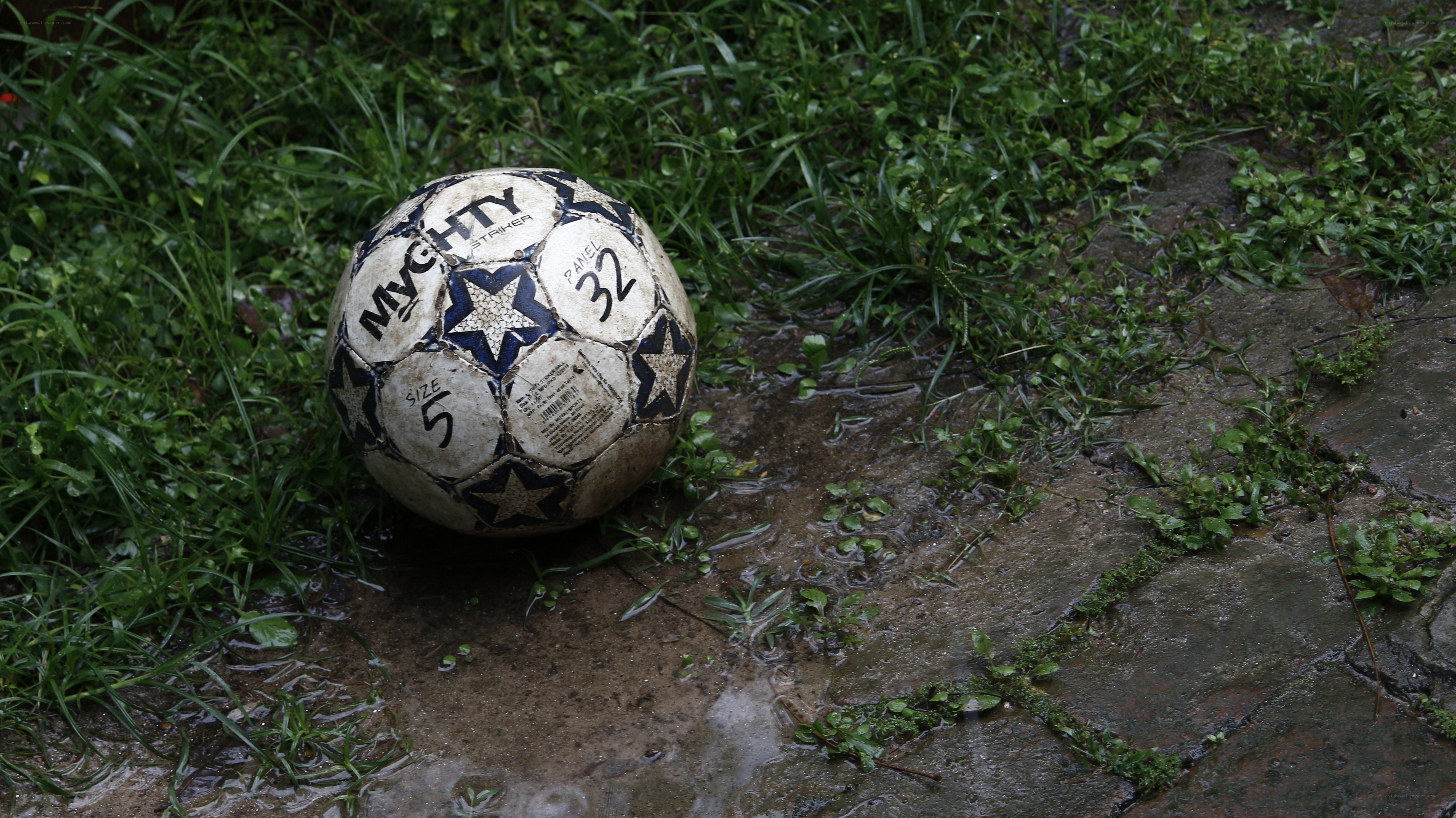 Wet soccer ball on grass