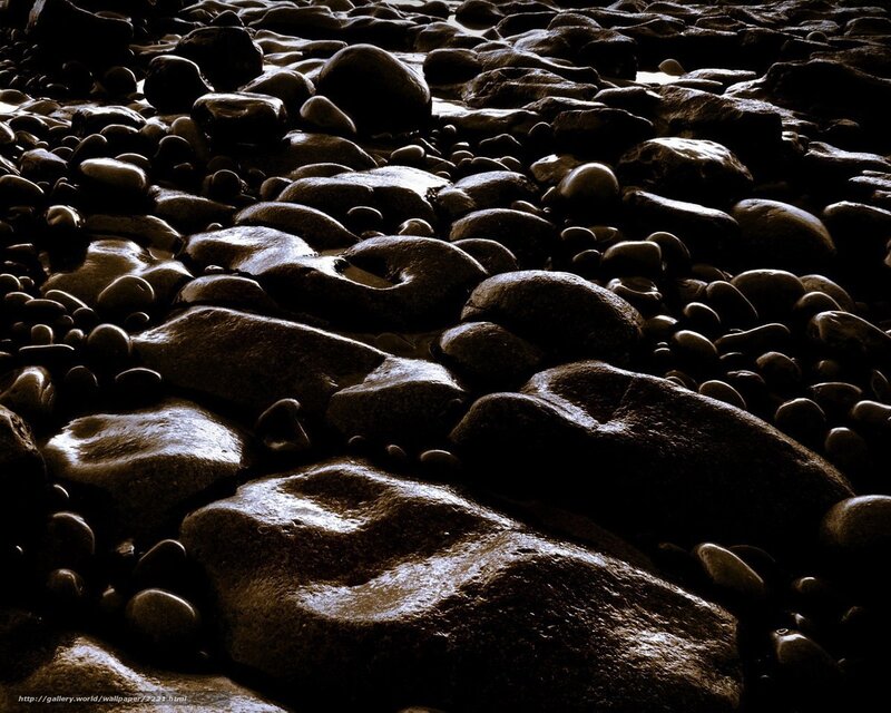 Wet stones on a beach