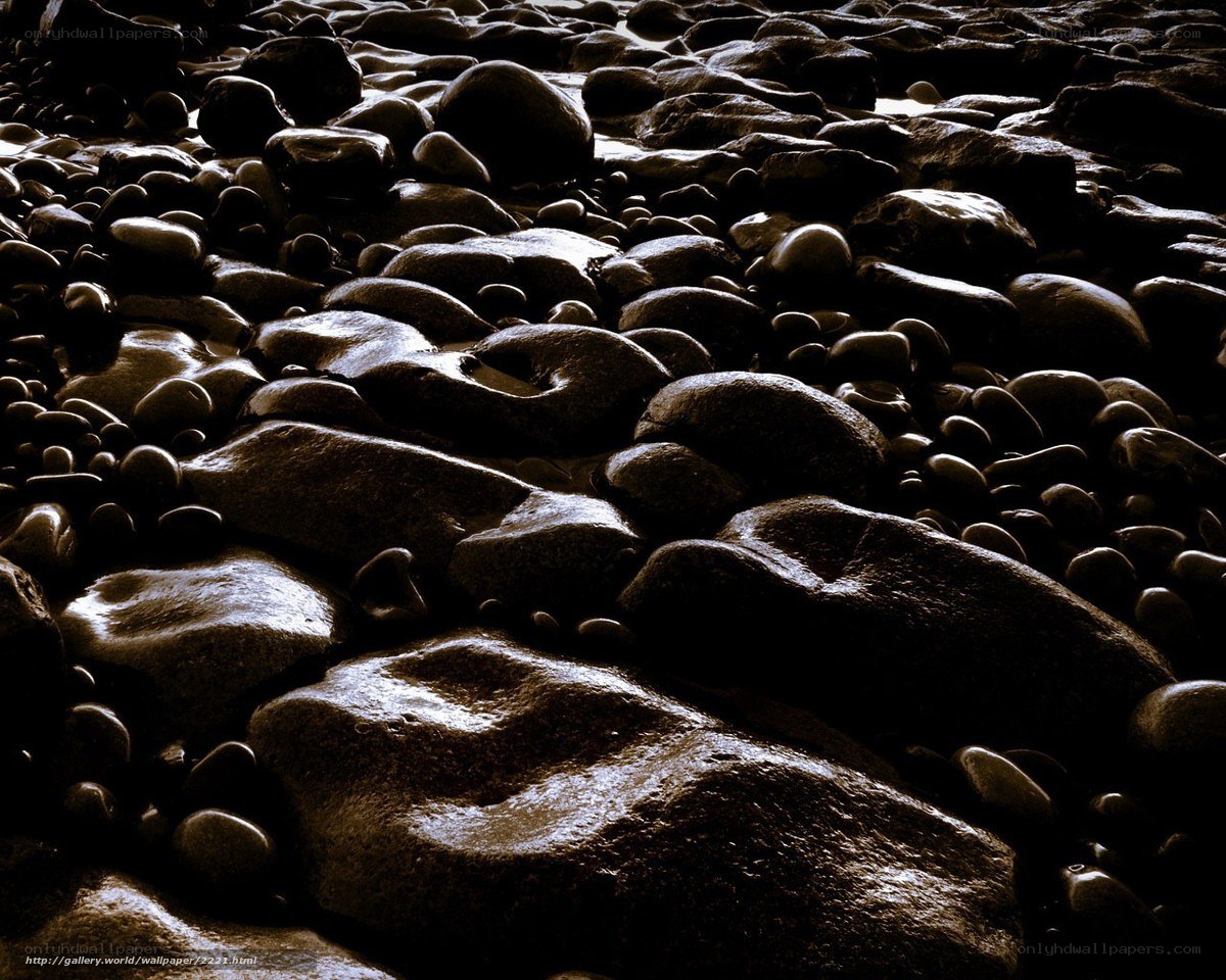 Wet stones on a beach
