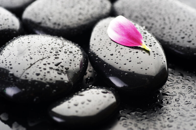 wet stones with flower petal