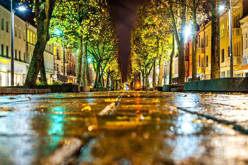 Wet Street at Night — Yellow, Calm, Photograph