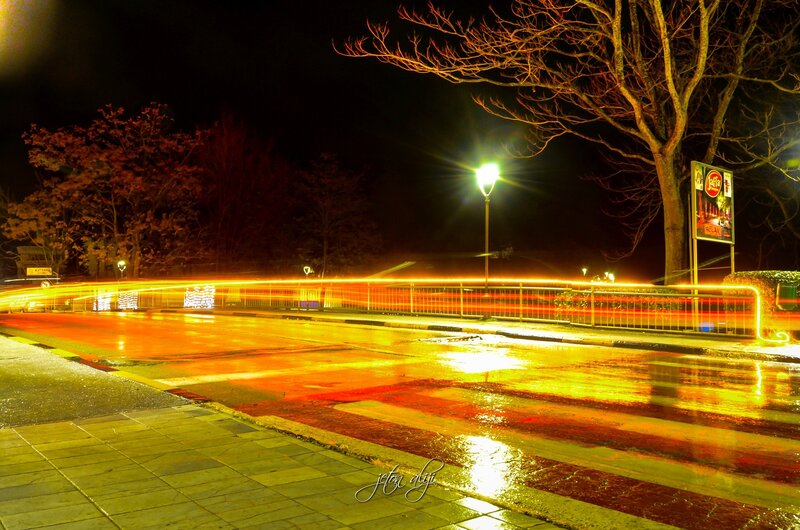 Wet Street at Night — Yellow, Dramatic, Photograph