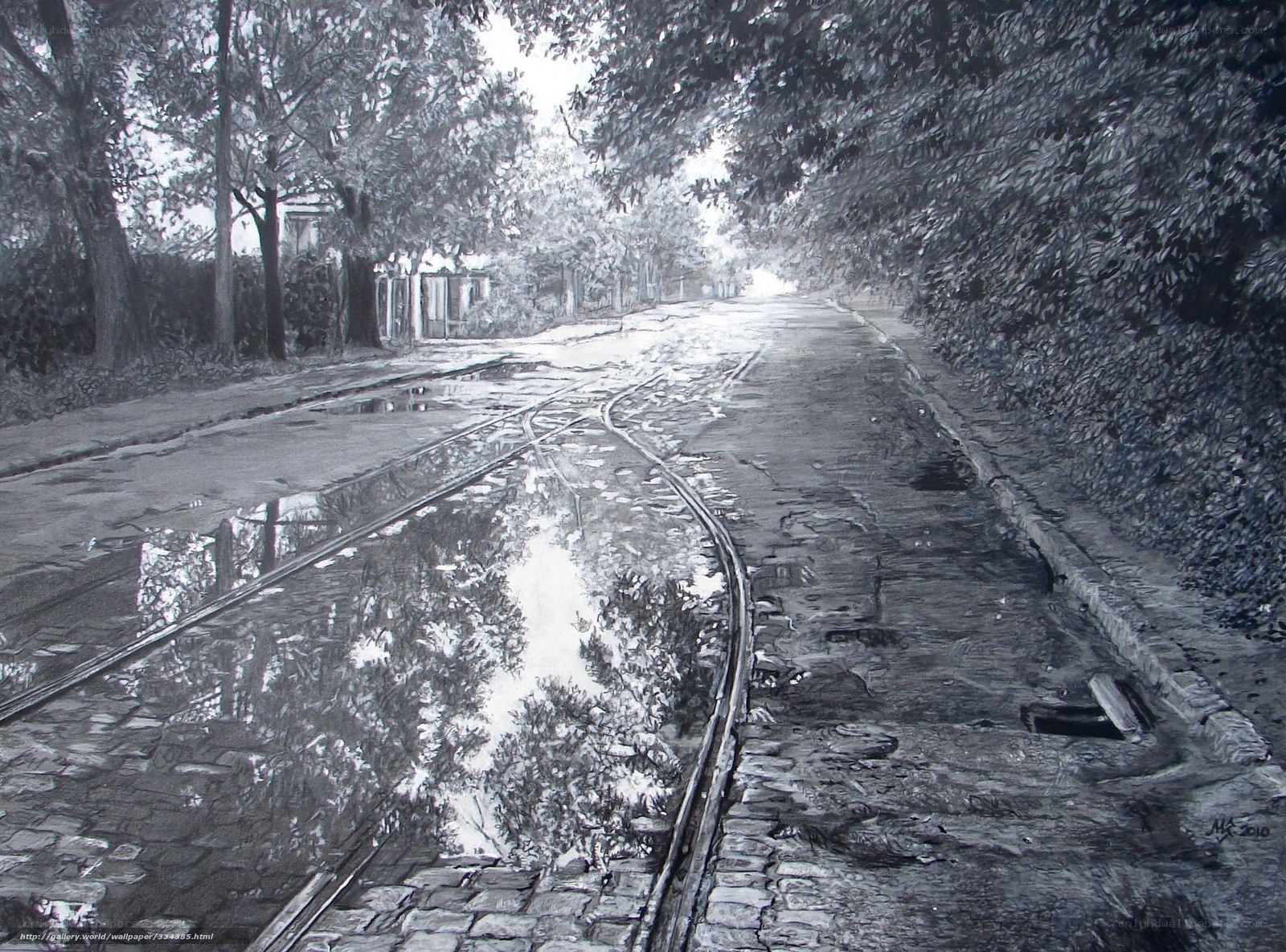wet tram tracks in park