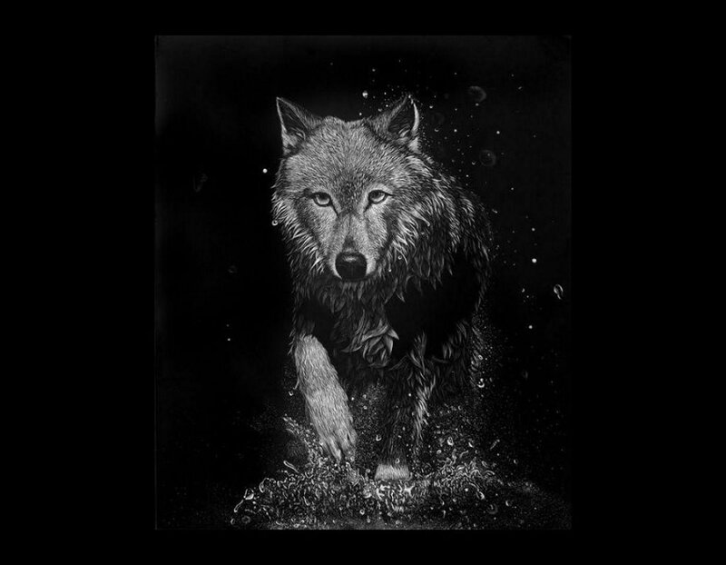 Wet Wolf Running — Black