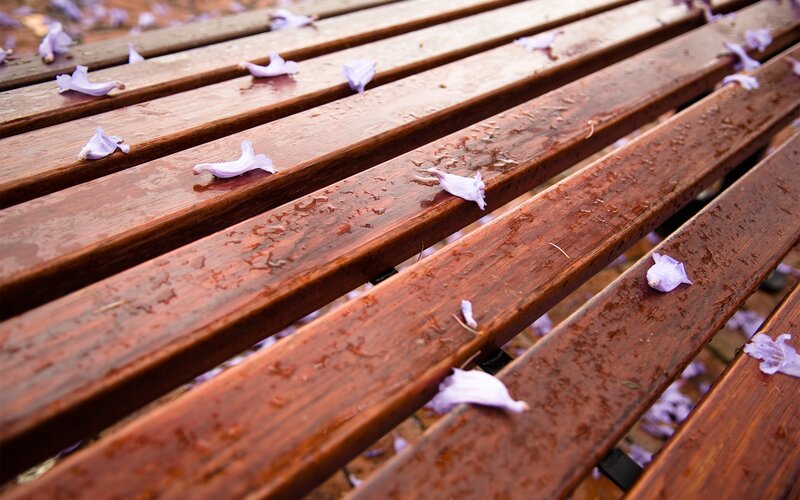 Wet Wooden Bench