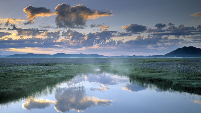 Wetland at Dawn — Blue