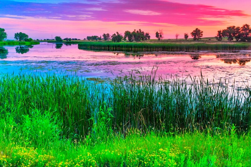 Wetland at Sunset — Pink