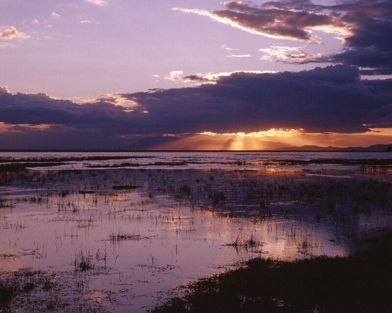 Wetland at Sunset — Purple, Dramatic, Photograph