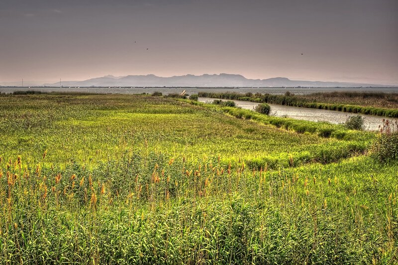 wetland marsh with distant mountains