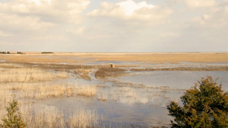 wetland marsh with small structure