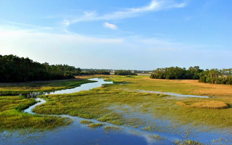 wetland marsh with winding creek