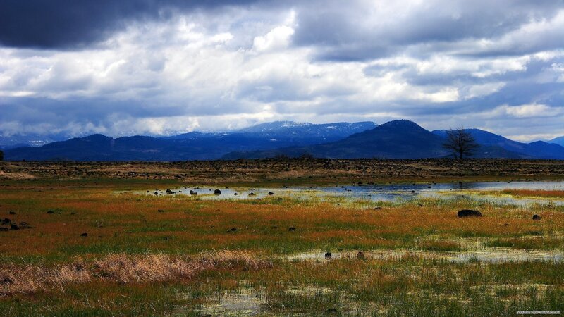 Wetland with Mountains — Blue, Dramatic, Afternoon, Photograph, Clouds, Tree