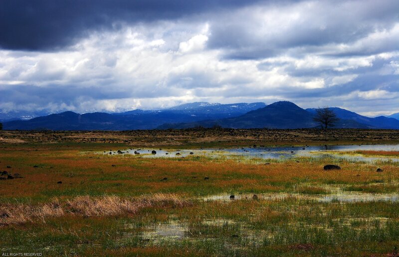 Wetland with Mountains — Blue, Dramatic, Afternoon, Photograph