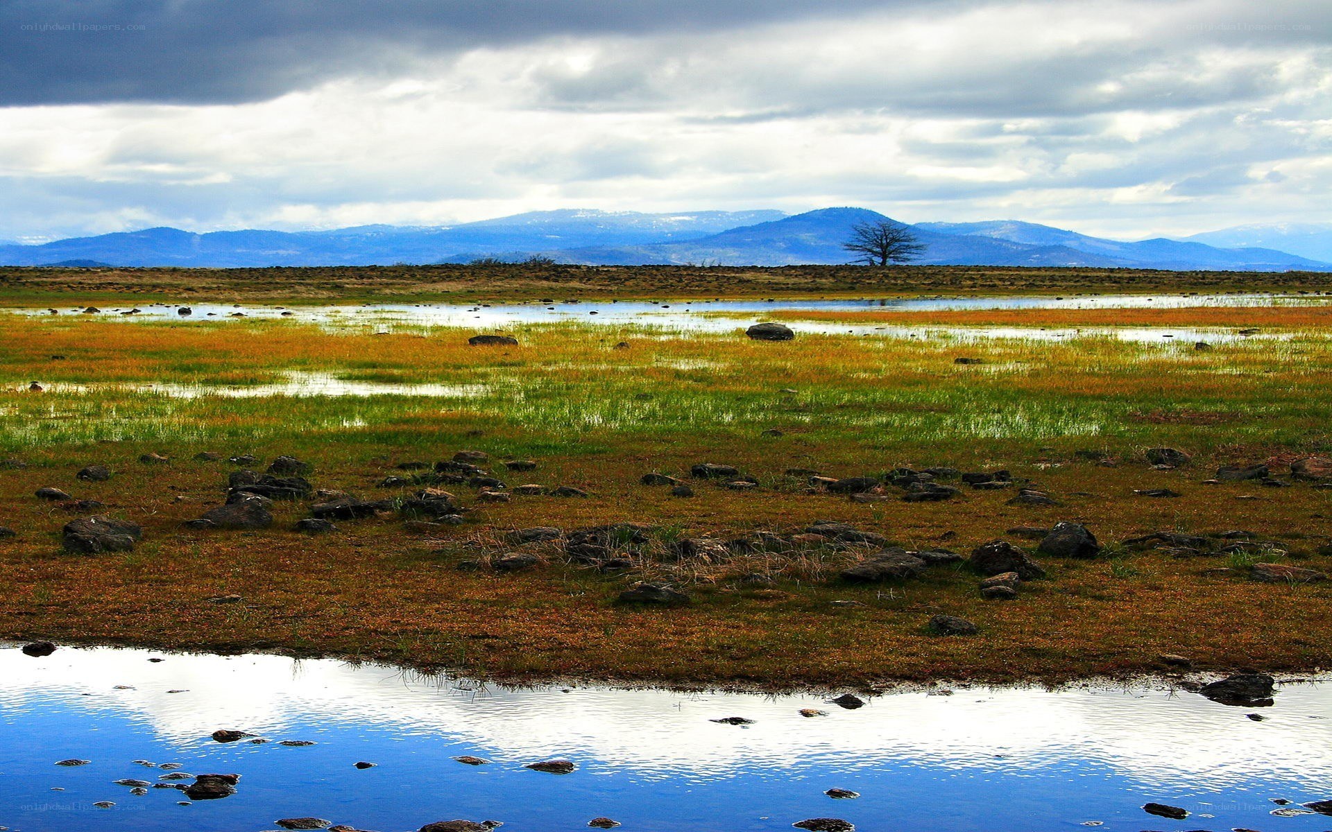 Wetland with mountains in background