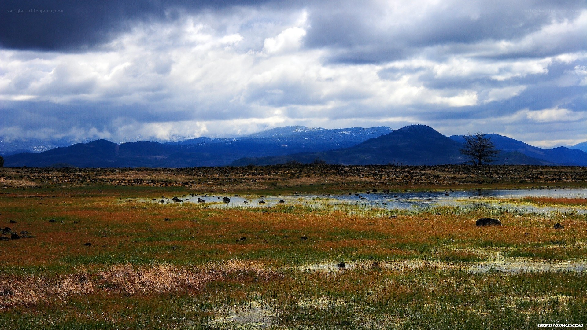 Wetland with mountains in background