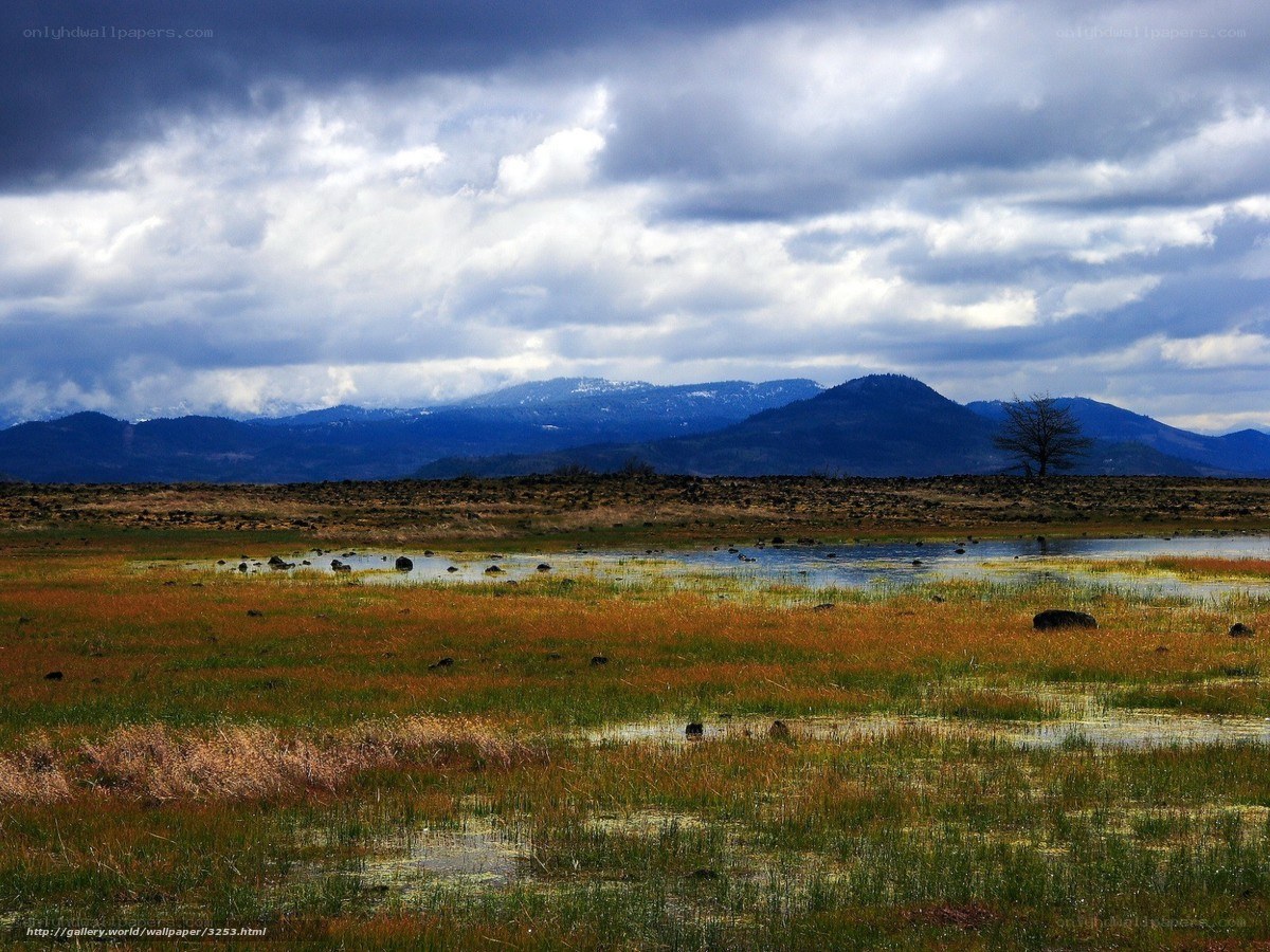 Wetland with mountains in background