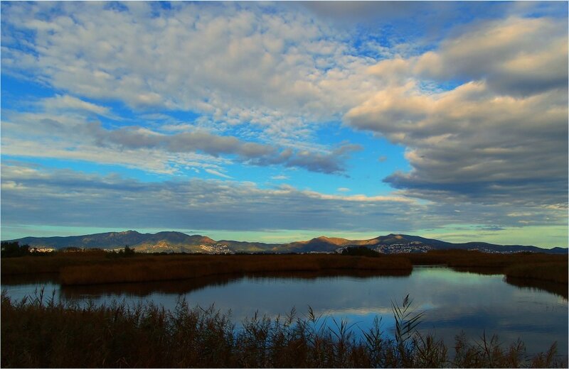 Wetland with Mountains