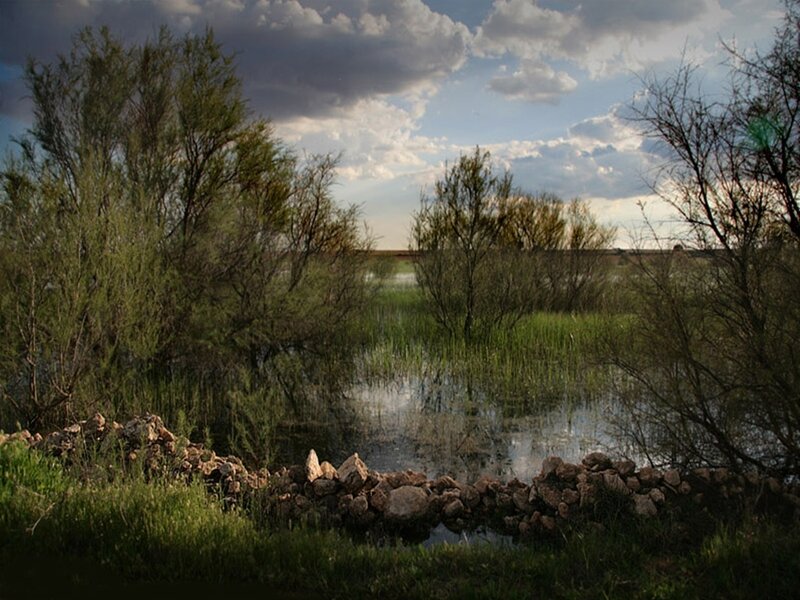 Wetland with stone wall