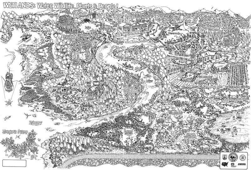 Wetlands Coloring Map