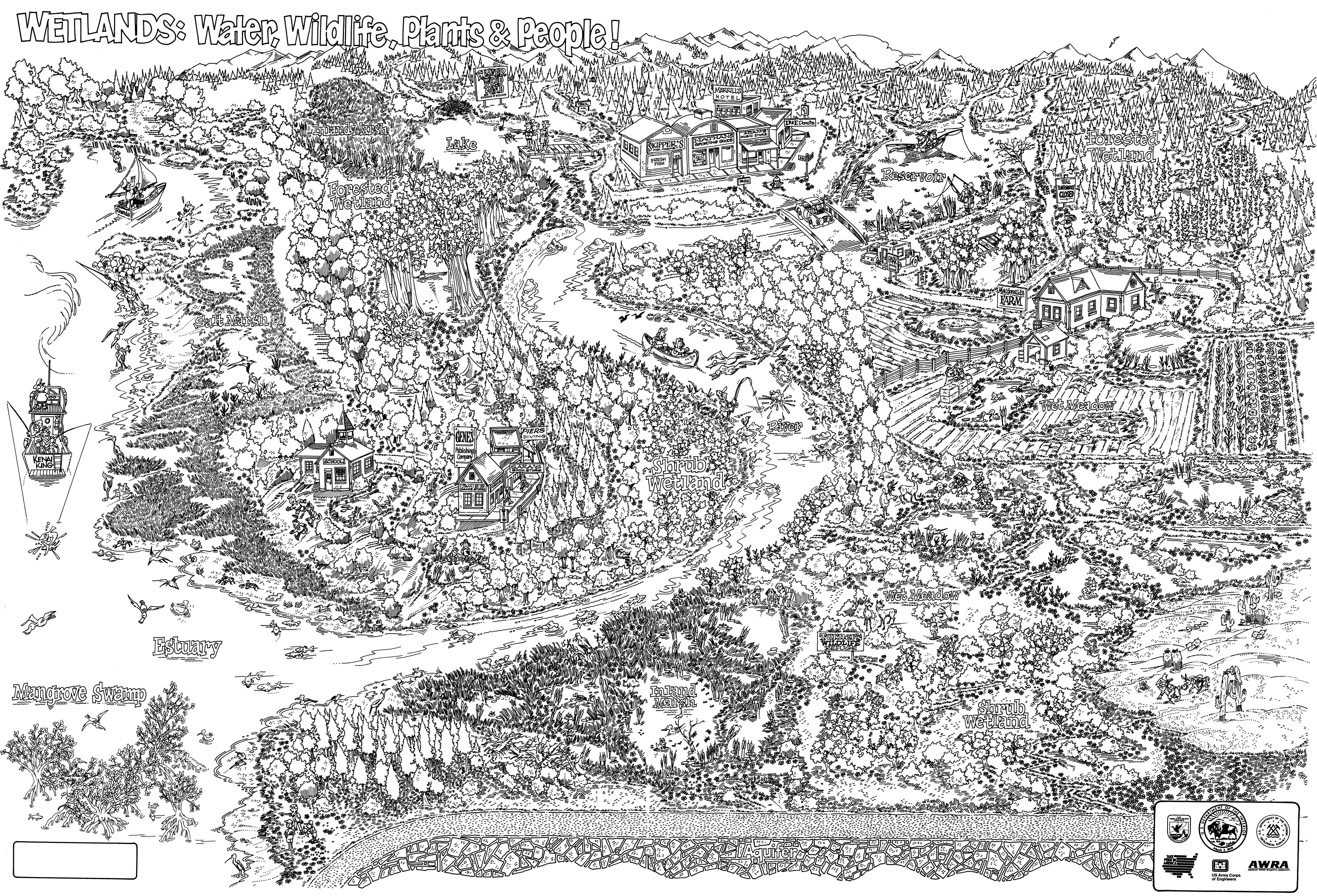 Wetlands Coloring Map