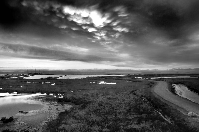 Wetlands under Cloudy Sky
