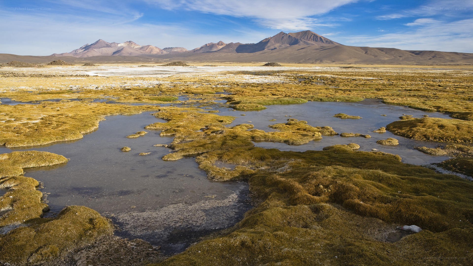 Wetlands with mountains in background
