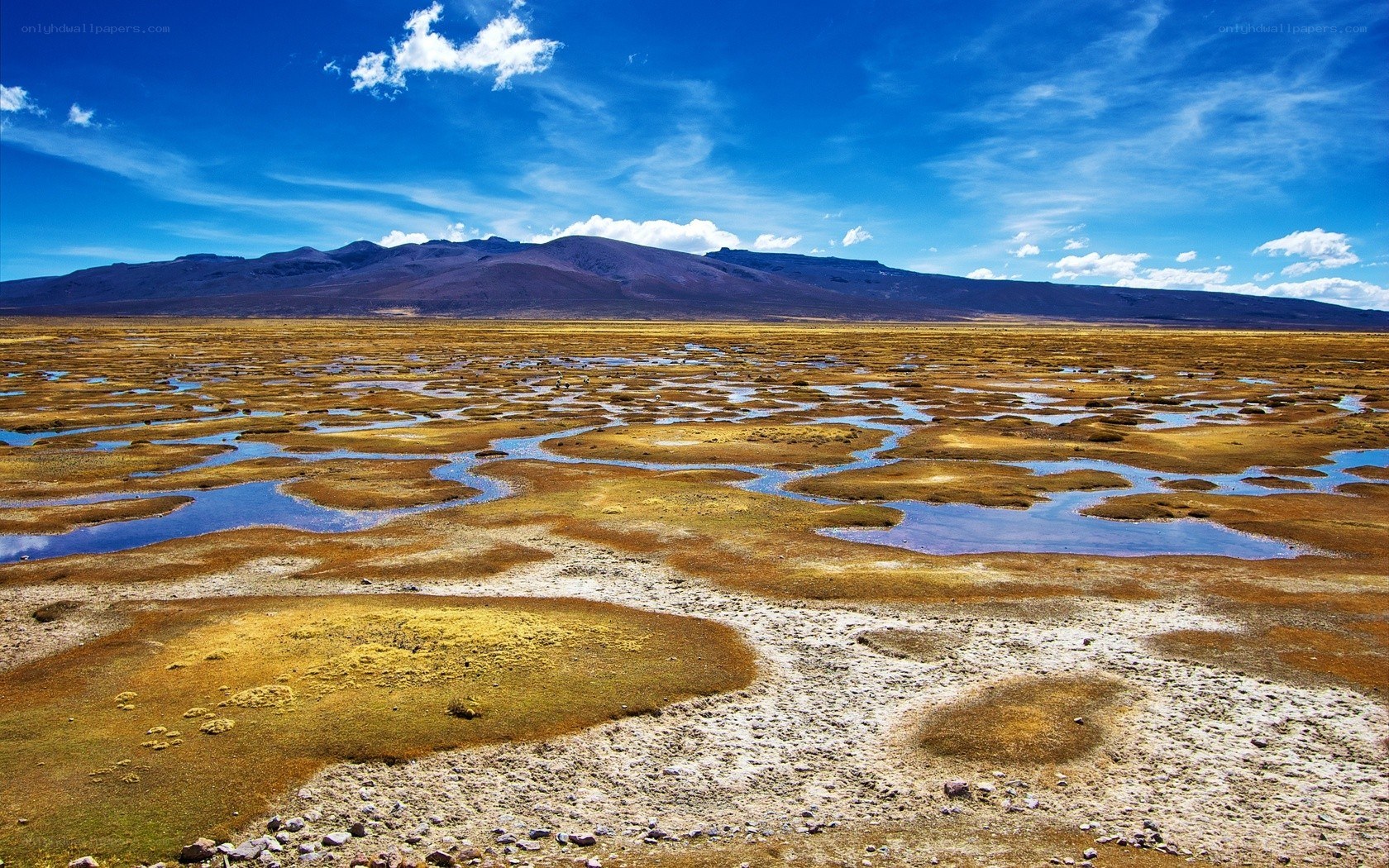 wetlands with mountains in background
