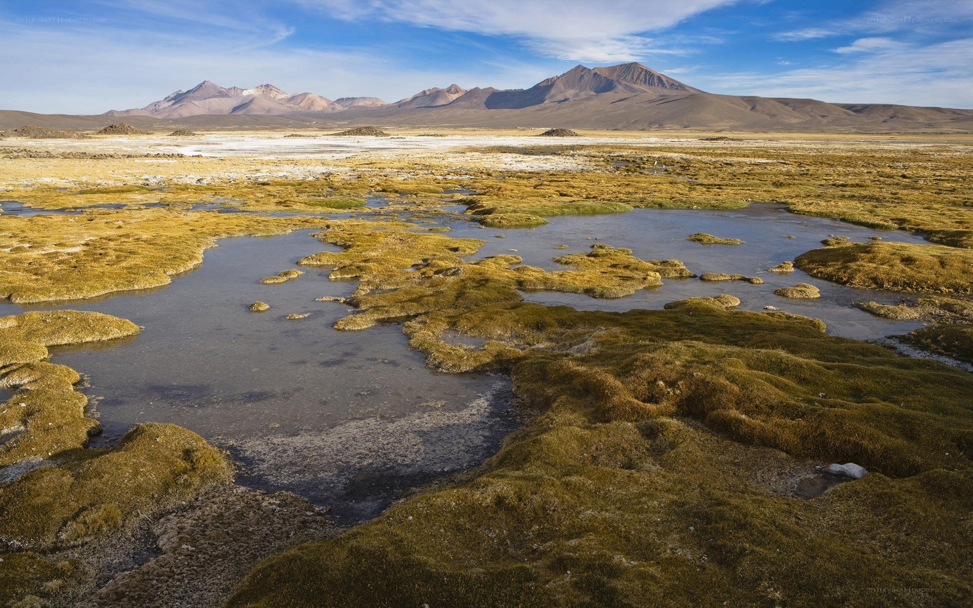 Wetlands with mountains in background