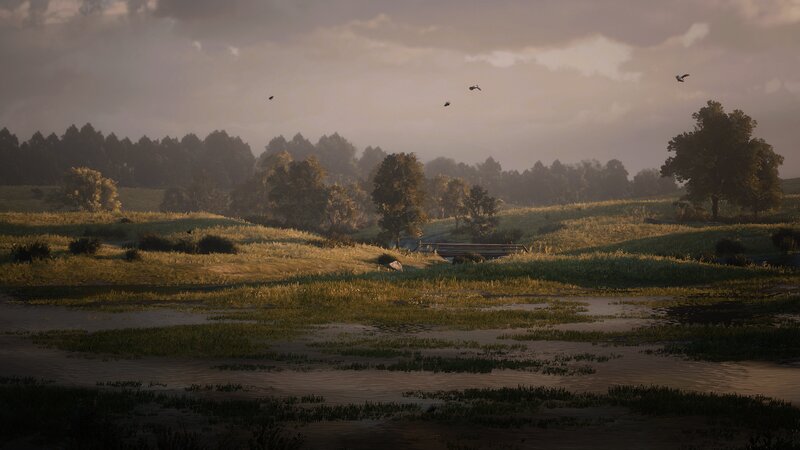 Wetlands with Trees