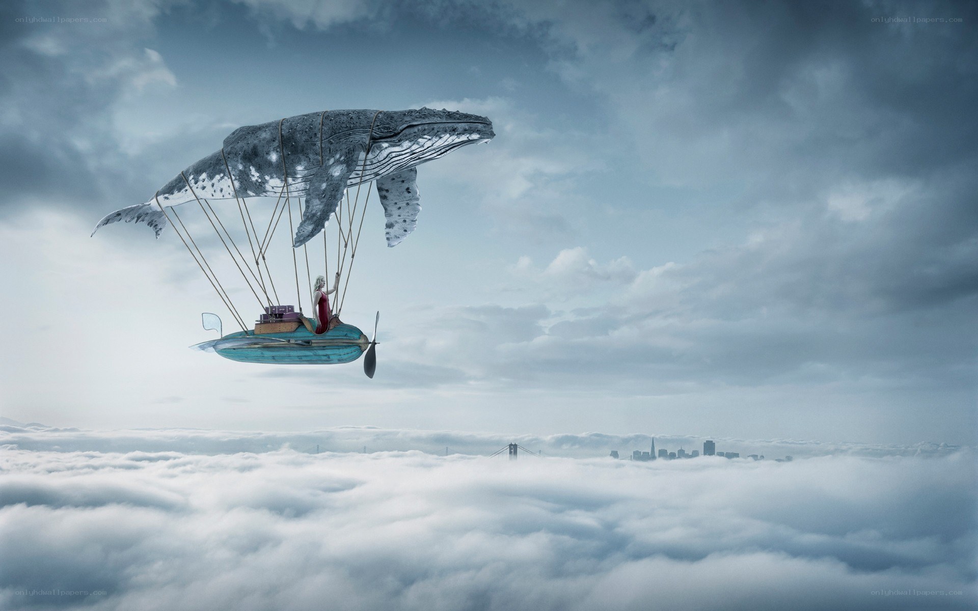 whale airship flight
