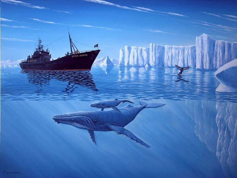 Whale and Calf Swimming — Blue