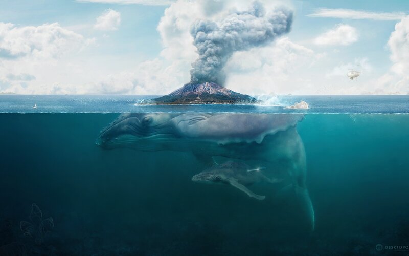 Whale and Calf Underwater — Blue