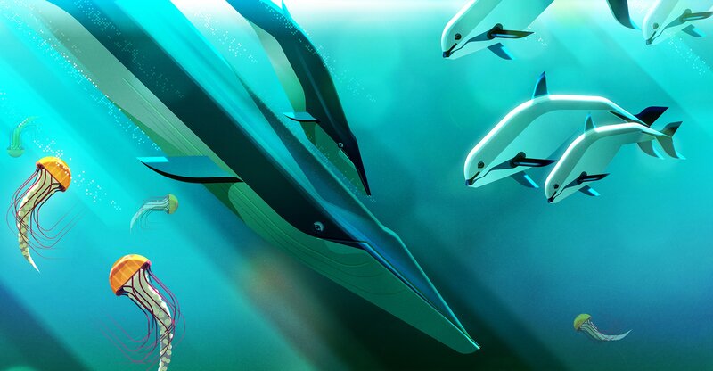 Whale and Dolphins