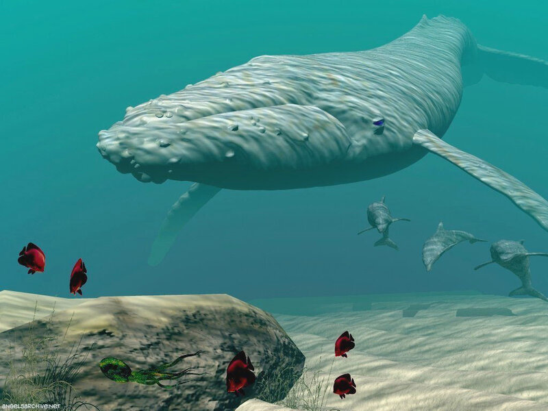 Whale and fish underwater