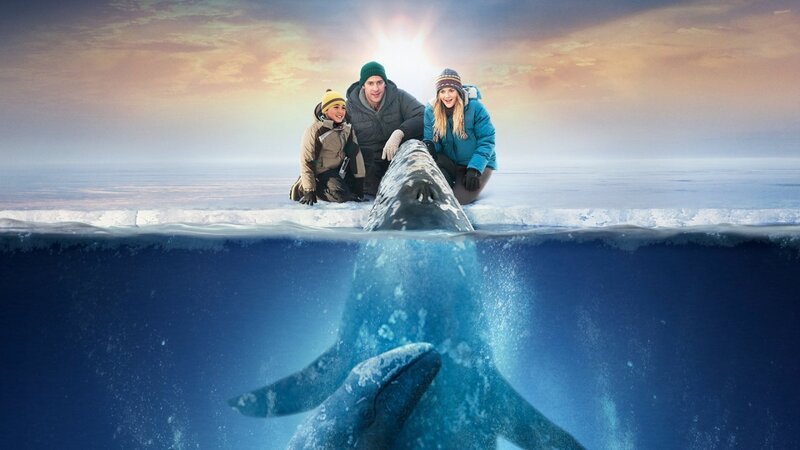 Whale and People on Ice