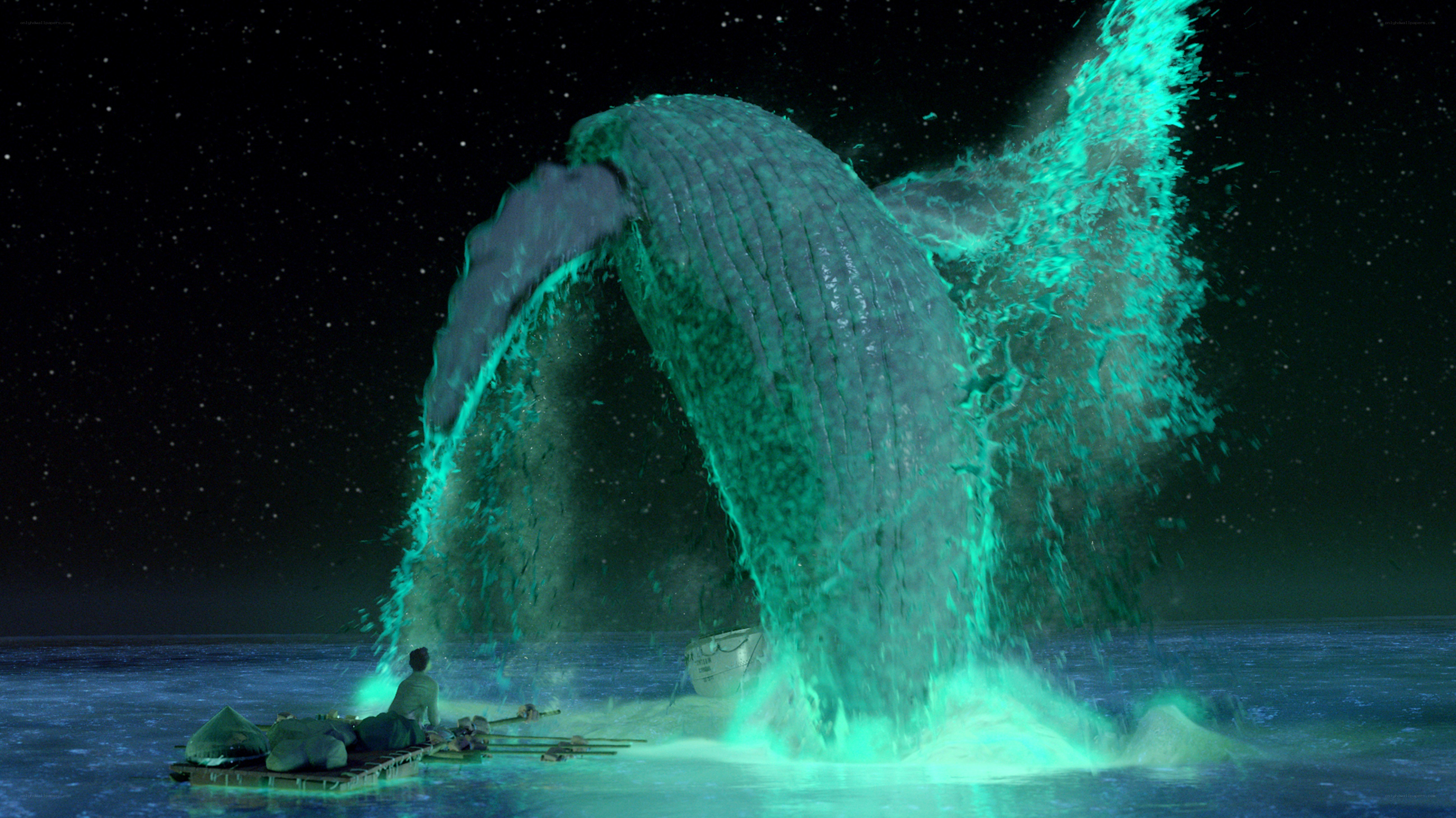 whale breaches at night