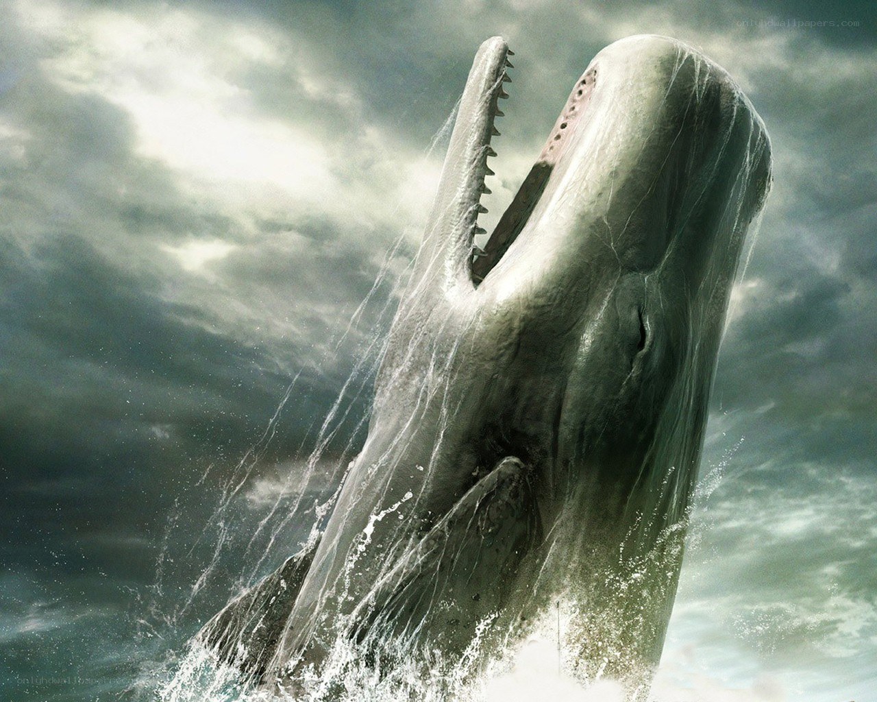 Whale breaching in storm