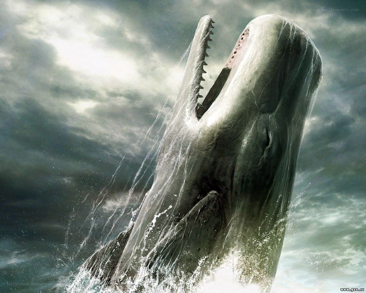Whale breaching in storm