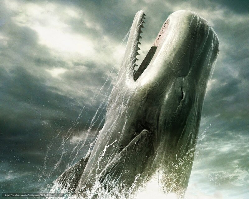 Whale breaching in storm