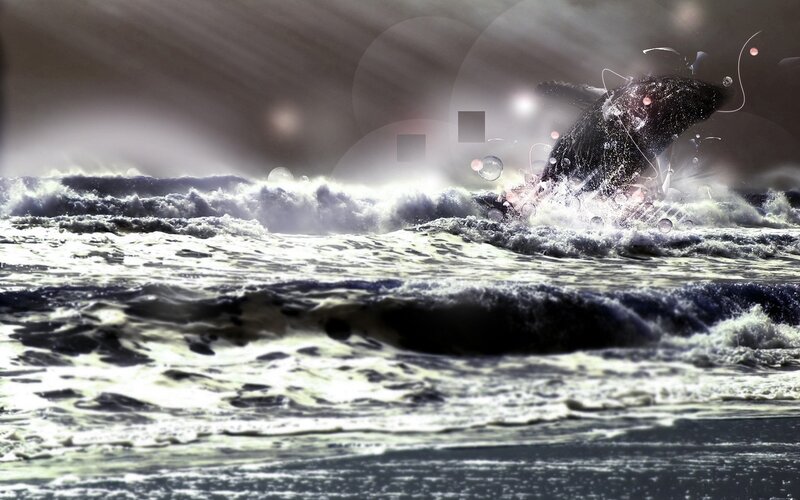 Whale breaching in stormy sea