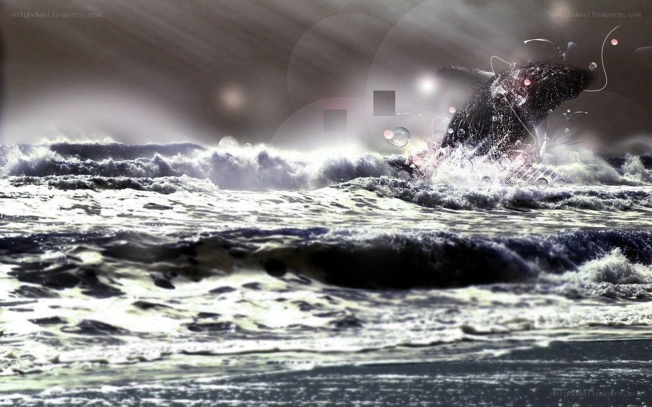 Whale breaching in stormy sea