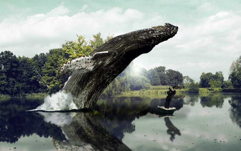 Whale Breaching Lake